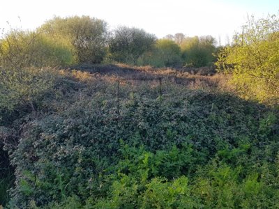 Terreno Rural en Lago, Valdoviño